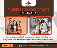 Navigating Business Visa Consultants in Canada: Your Pathway to Success