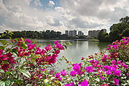 MacRitchie Reservoir Park