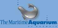 Maritime Aquarium Blog