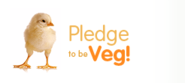 WhyVeg.com | Vegetarian Recipes | Recipe List