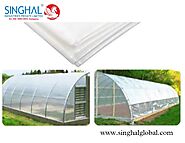 Greenhouse Plastic Film: Enhancing Agricultural Productivity