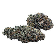 Blueberry Runtz Strain Review: Flavor, Effects, and Why It’s a Fan Favorite