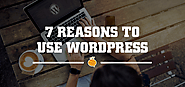 7 Reasons Why WordPress Websites Are The Bomb
