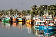 Fishing Harbour of Negombo