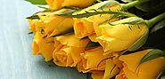 Flowers Shop Online Fujairah - Ameya Flowers