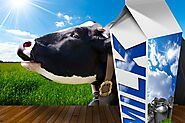 Elevate Your Health: The WellHealthOrganic Buffalo Milk Tag Difference