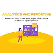 Analytics & Reporting