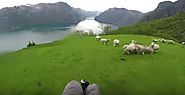 Holy Sheep, this GoPro commercial will make your heart race
