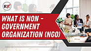 What is a Non Government Organization (NGO)?