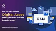 Digital Asset Management Software Development