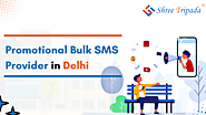 Promotional Bulk SMS Provider in Delhi - Shree Tripada