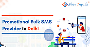 Promotional Bulk SMS Provider in Delhi - Shree Tripada