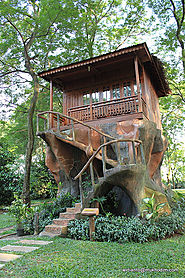 Rumah Pohon Mekarsari, Bogor