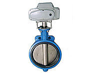 Butterfly Valves Manufacturers and Suppliers in India- Ridhiman Alloys