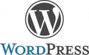 WordPress SEO Results
