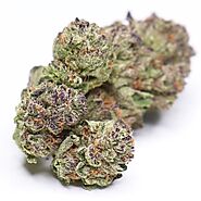 Ice Cream Cake Strain - Weed Delivery Service Los Angeles