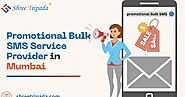 Promotional Bulk SMS Service Provider in Mumbai | Shree Tripada