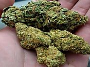 best place to buy sour diesel online in canada and united states