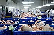 iframely: Wholesale Fresh Frozen Chicken Supplier