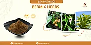 Bermix Herbs - Kháng sinh từ thảo dược