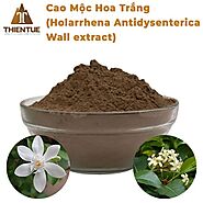 Cao khô Mộc hoa trắng | Bột Mộc hoa trắng