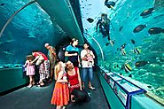 Explore Reef HQ Aquarium