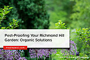 Pest-Proofing Your Richmond Hill Garden: Organic Solutions - Maple Pest Control