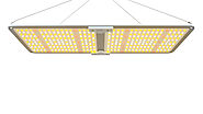 Top-Quality Yard Lights & Garden Lights - Exxon Lighting