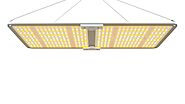 Top-Quality Yard Lights & Garden Lights - Exxon Lighting