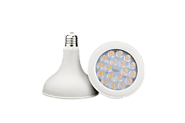 Buy Led Spot Light Online | Spot Lighting - Exxon Lighting