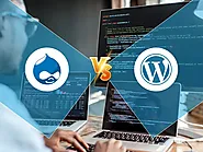 Drupal vs WordPress: Which CMS Platform is Good for You?