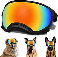 Sun-Glasses for golden retriever