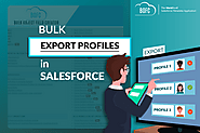 Bulk Export Profiles in Salesforce