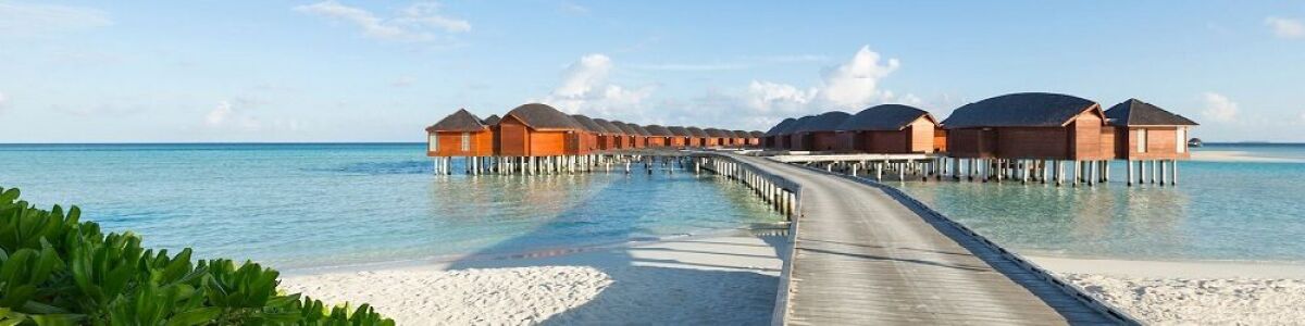 Listly discover the maldives best things to see and experience in paradise headline