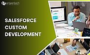 Salesforce Custom Development