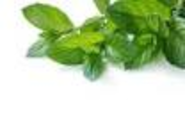 Peppermint and Summer Heat - West Coast Institute of Aromatherapy