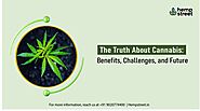 Cannabis: Benefits, Challenges, and Future