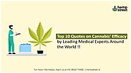 Medical Cannabis Quotes