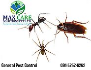 Best Pest Control Services in Mumbai