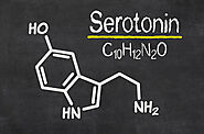 Plant Medicine & Serotonin