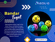 Bandar Togel