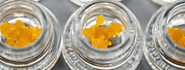 Live Resin Sauce Products Online Canada - Togo Weed