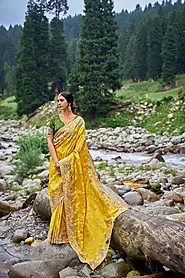 Organza Saree