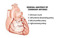 LMCA Full Form in Medical: Understanding the Left Main Coronary Artery