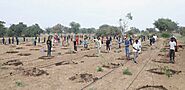 TreePlantation #WomensDay