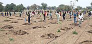 Website at https://growbilliontrees.com/blogs/tree-stories/khejri-tree-the-wonder-tree-of-the-thar-desert