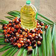 Refined Palm Oil - Refined Sunflower Oil Exporters | delistathisunflower.com