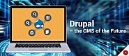 Why Choose Drupal CMS for Enterprise Website Development Project?