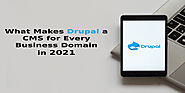 What Makes Drupal a CMS for Every Business Domain in 2021?