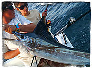 Fishing Charters in Fort Lauderdale